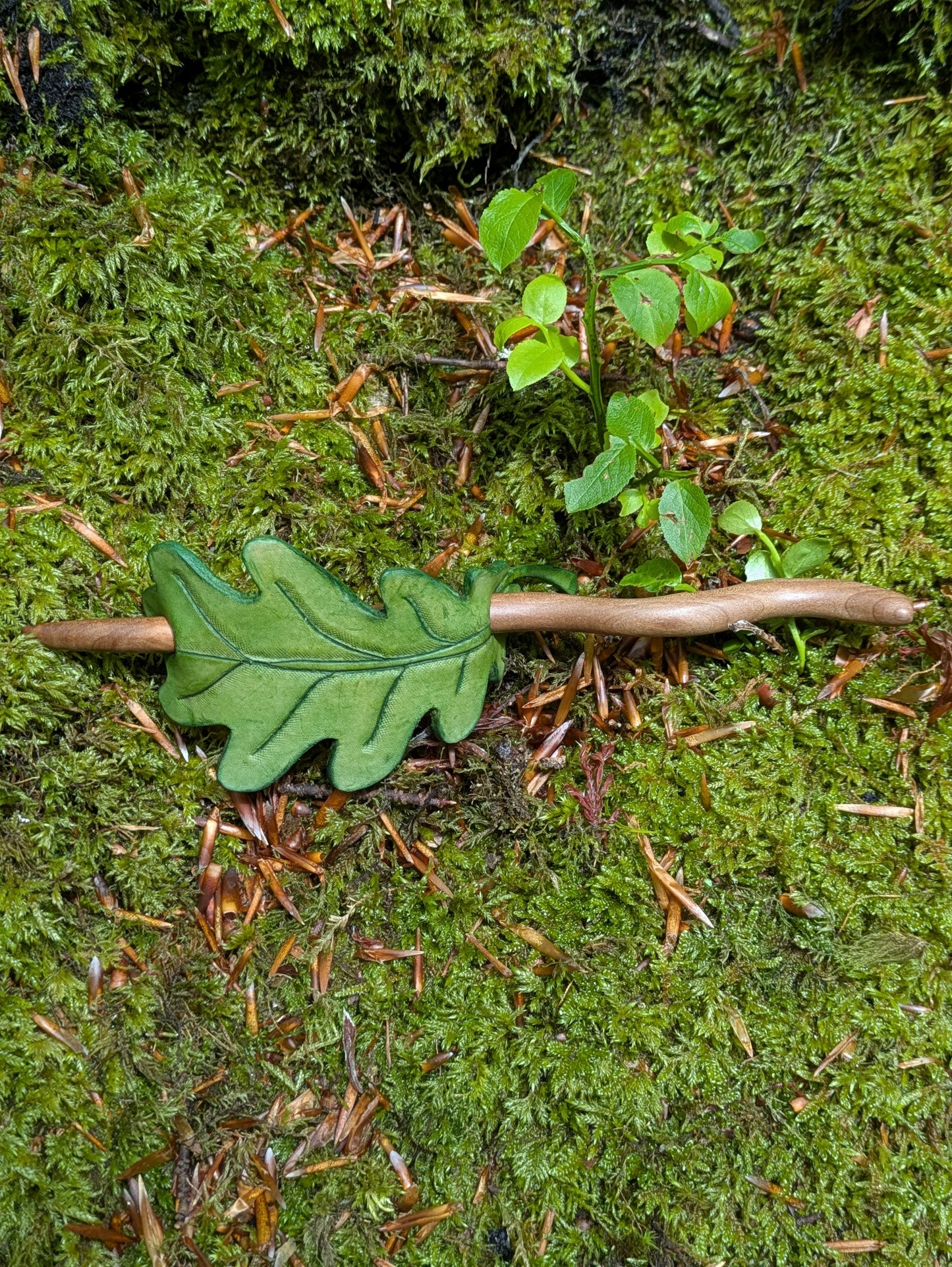 Epingles feuilles de chêne